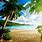 Beach Exotic Wallpapers